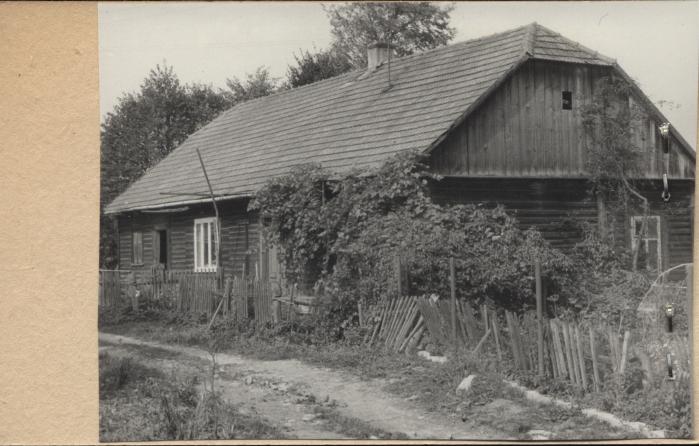 dom, skan 2