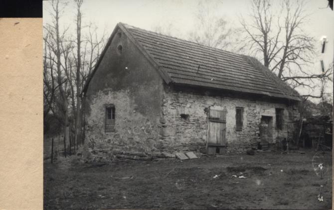 stajnia, skan 2