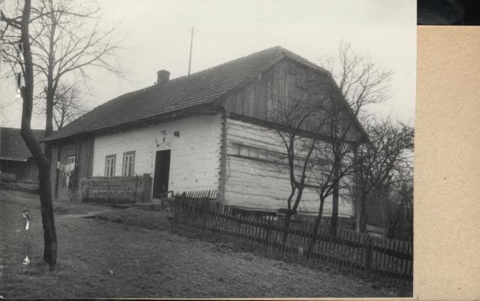 dom, skan 2