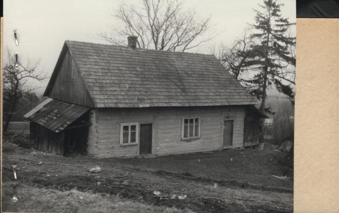 dom, skan 2