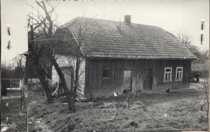 dom, skan 2