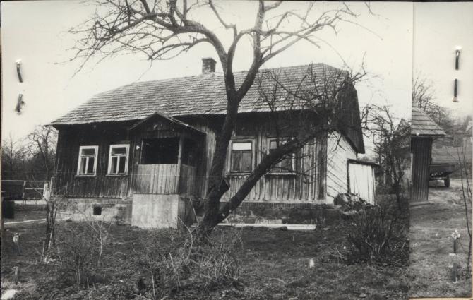 dom, skan 3