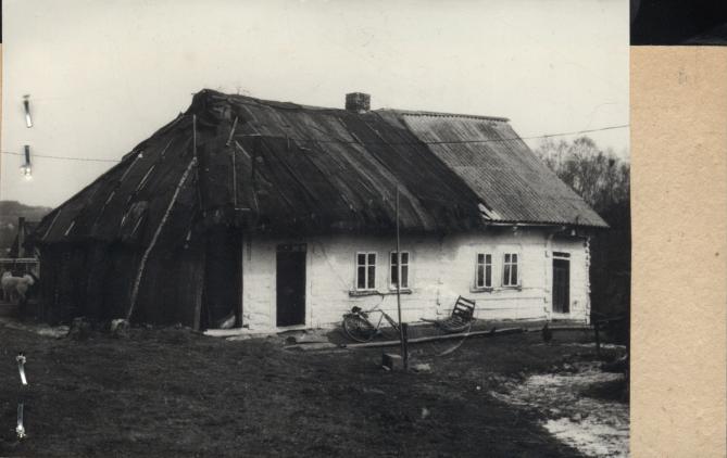 dom, skan 2