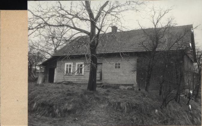 dom, skan 2