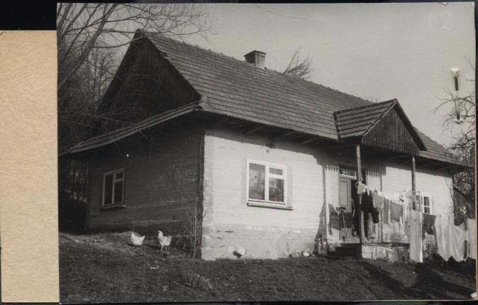 dom, skan 2