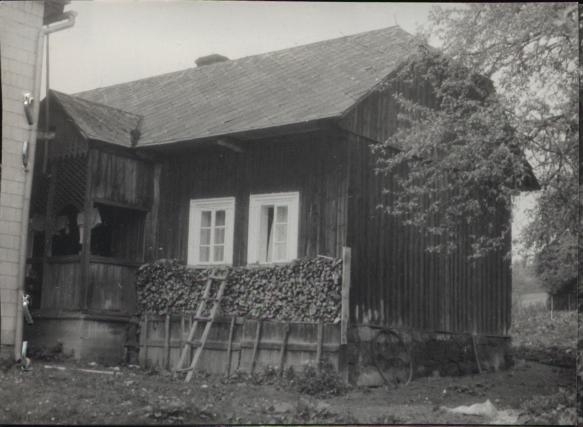 dom, skan 3