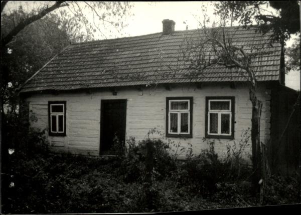 dom, skan 2