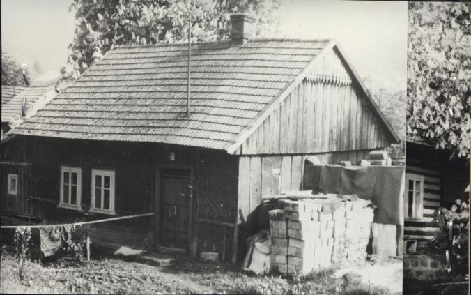 dom, skan 3