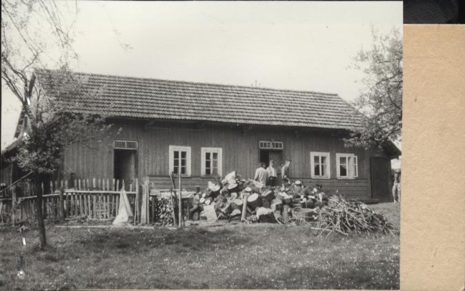 dom, skan 2