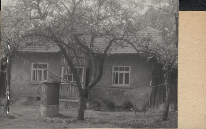 dom, skan 2