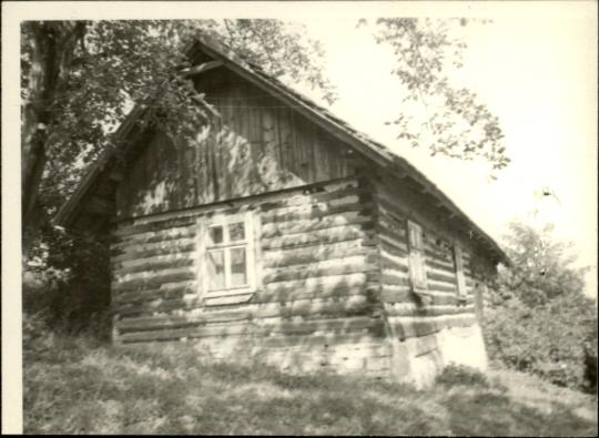 dom, skan 3