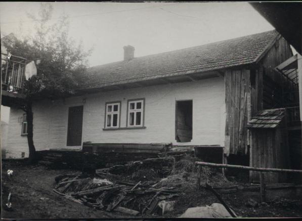 dom, skan 3