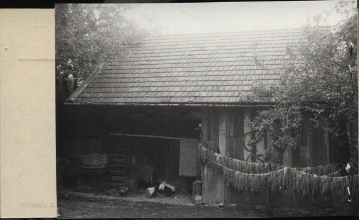 stodoła, skan 2