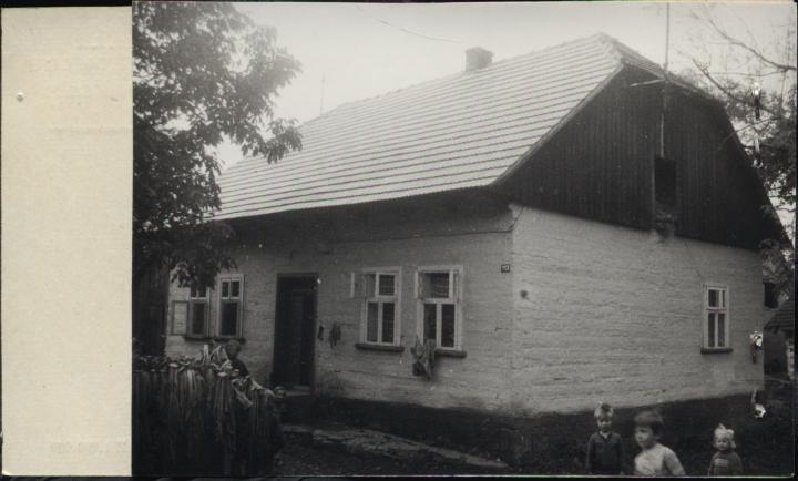 dom, skan 2
