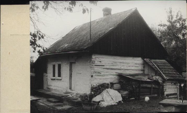 dom, skan 2