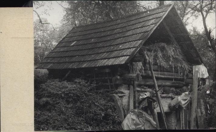 piwniczka, skan 2