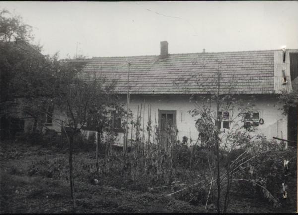 dom, skan 3