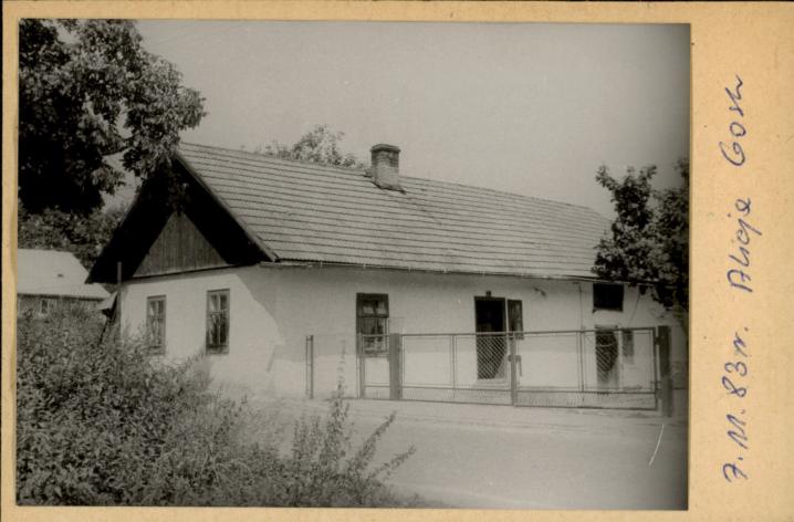 dom, skan 2