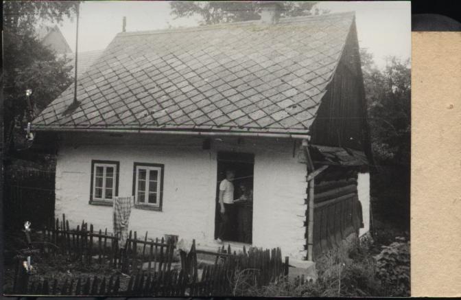 dom, skan 2