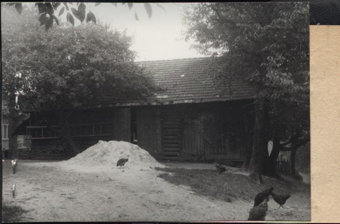 stodoła, skan 2
