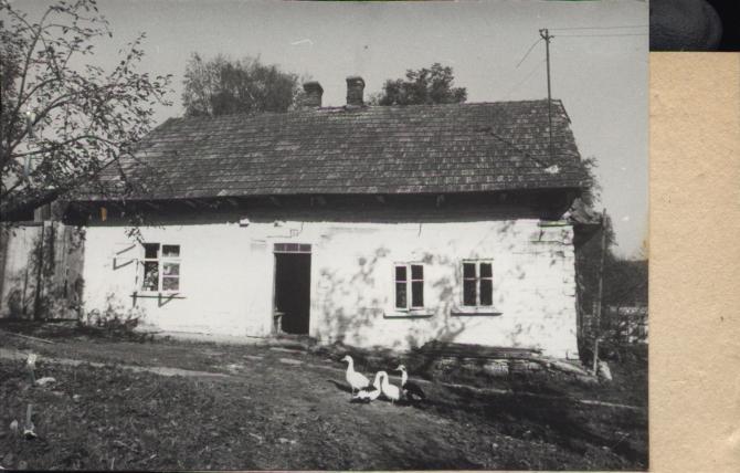 dom, skan 3