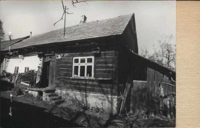 dom, skan 2