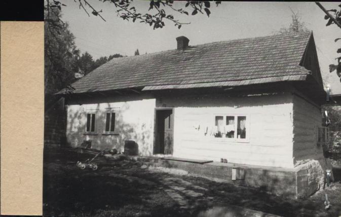 dom, skan 2