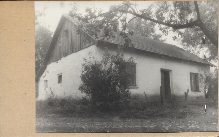 dom, skan 2