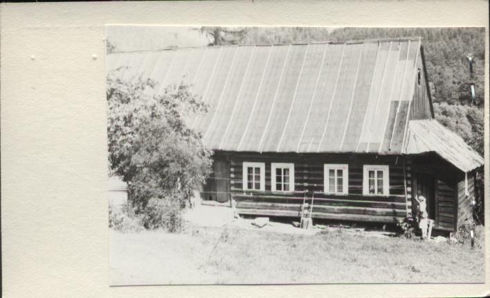 dom, skan 2