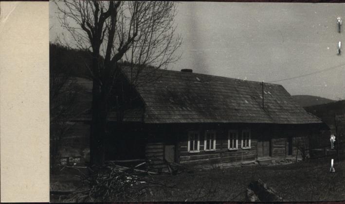dom, skan 2