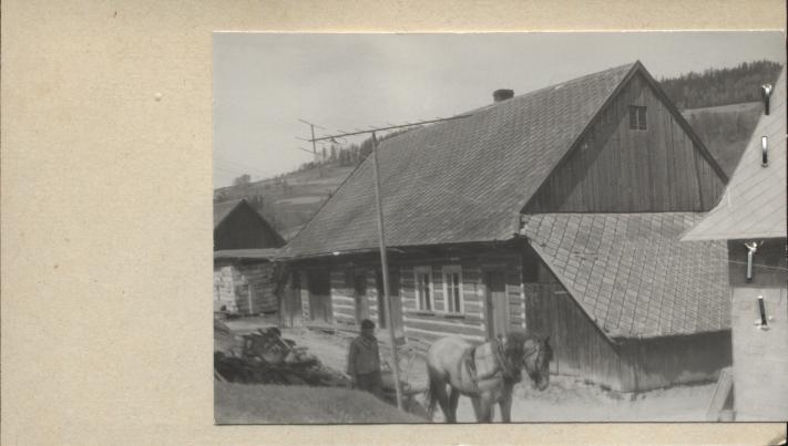 dom, skan 2