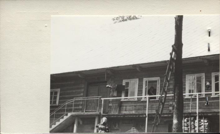 dom, skan 2