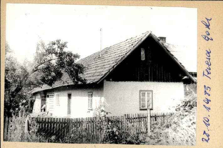 dom, skan 2