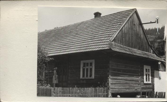 dom, skan 2