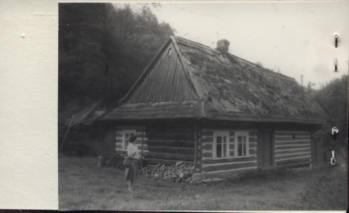 dom, skan 2