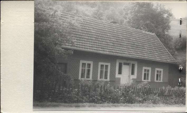 dom, skan 2