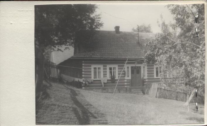 dom, skan 2