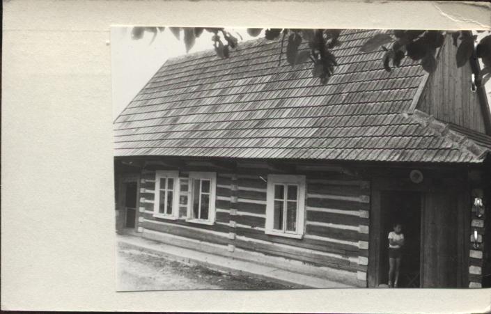 dom, skan 2