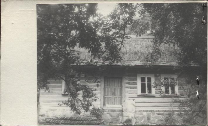 dom, skan 2
