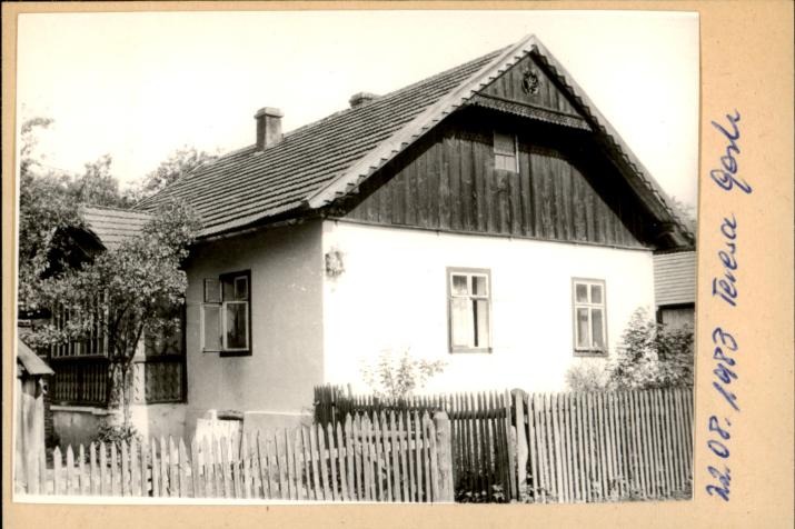dom, skan 2