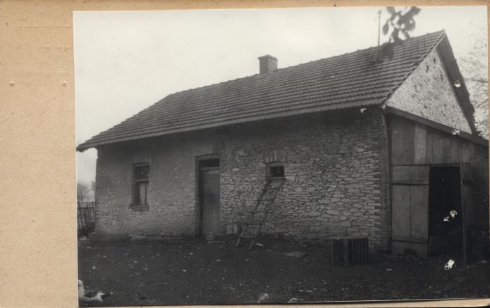 dom, skan 3