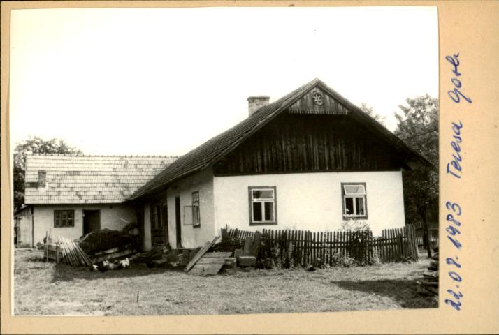 dom, skan 2