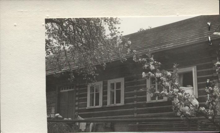 dom, skan 2