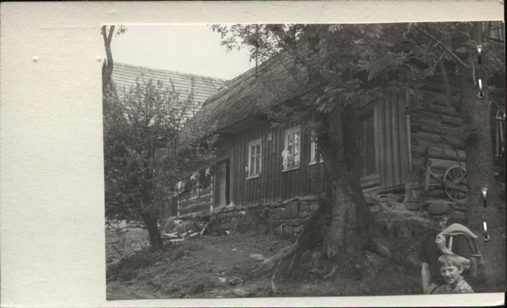 dom, skan 2