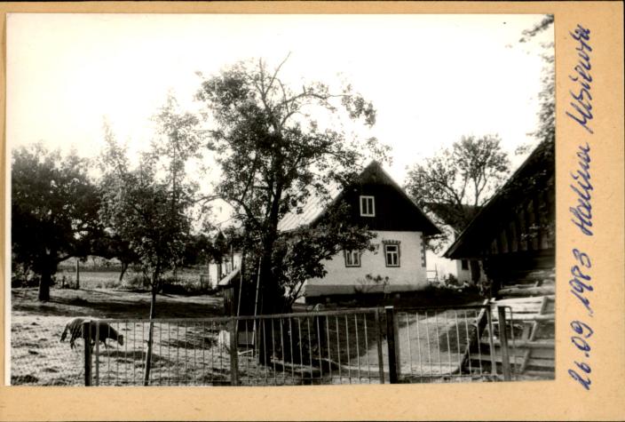 dom, skan 2