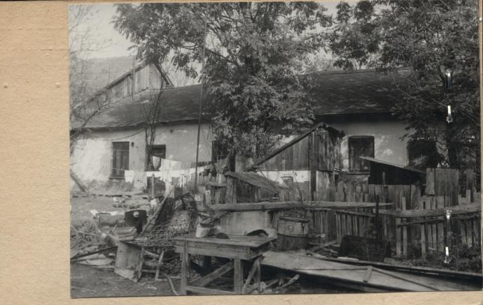 czworak, skan 2