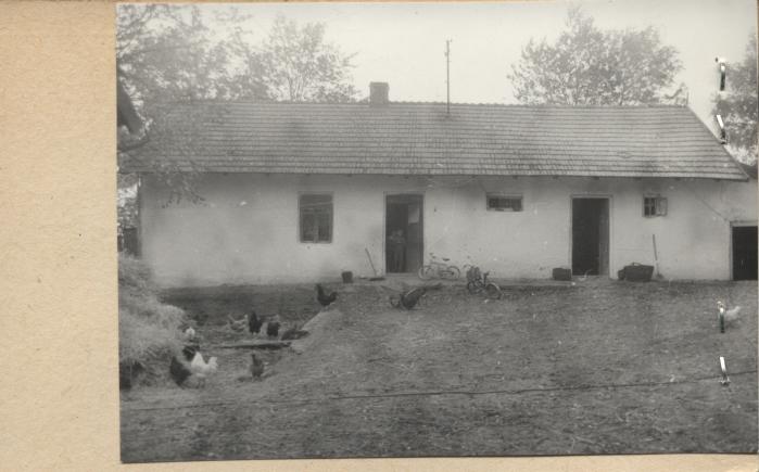 dom, skan 2