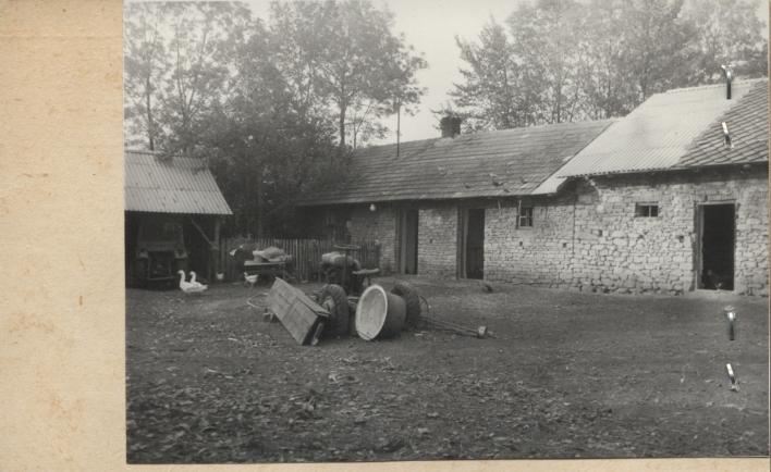 chlew w zagrodzie, skan 2