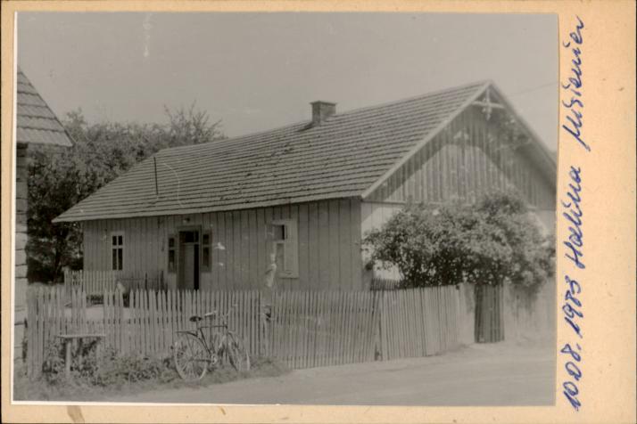 dom, skan 2