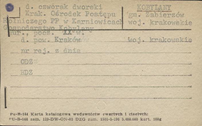 czworak dworski, skan 1